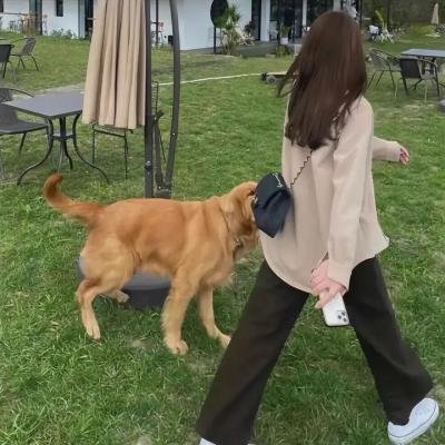 老妈的桃花运